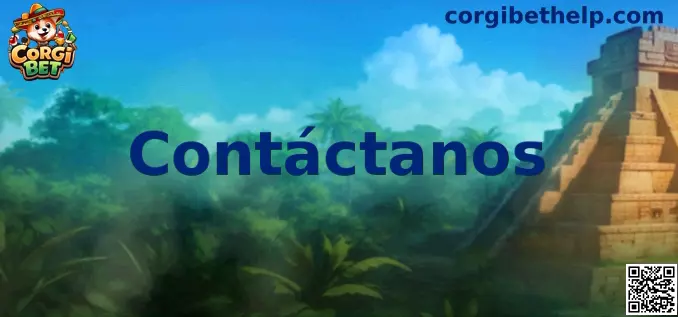 Contacto Corgi Bet México