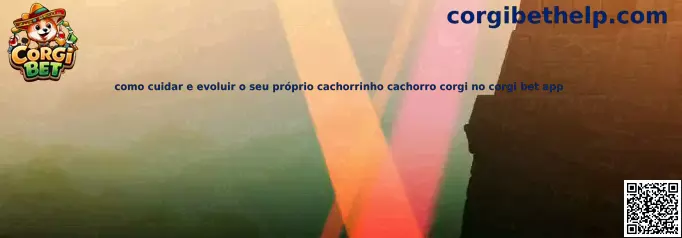 Corgi Bet App Cachorro Corgi