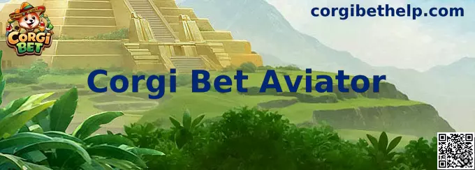 Interfaz representativa de Corgi Bet Aviator