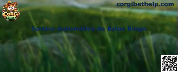 Sorteio Automático de Bolas Bingo