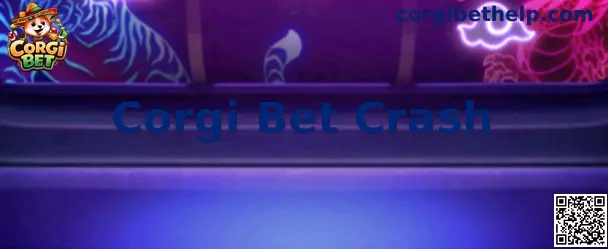 Corgi Bet Crash experiencia de juego